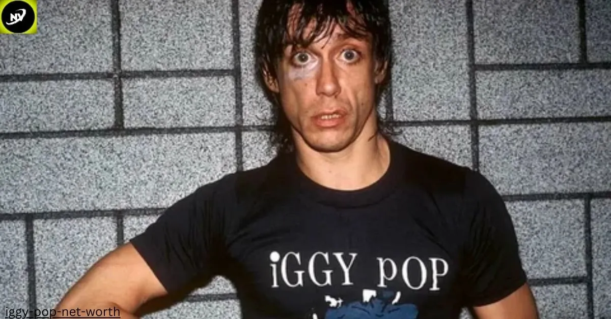 Iggy Pop Net Worth