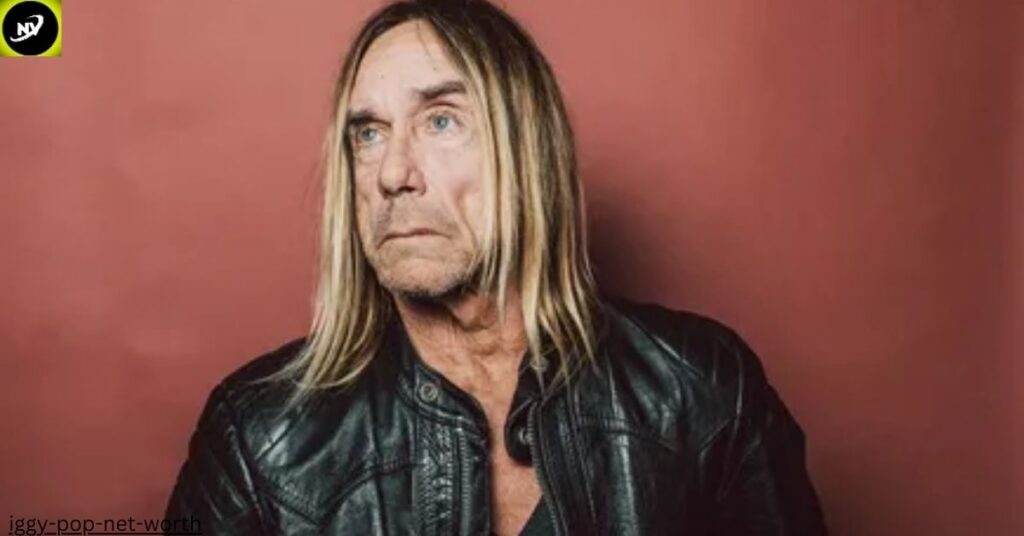 Iggy Pop Net Worth 