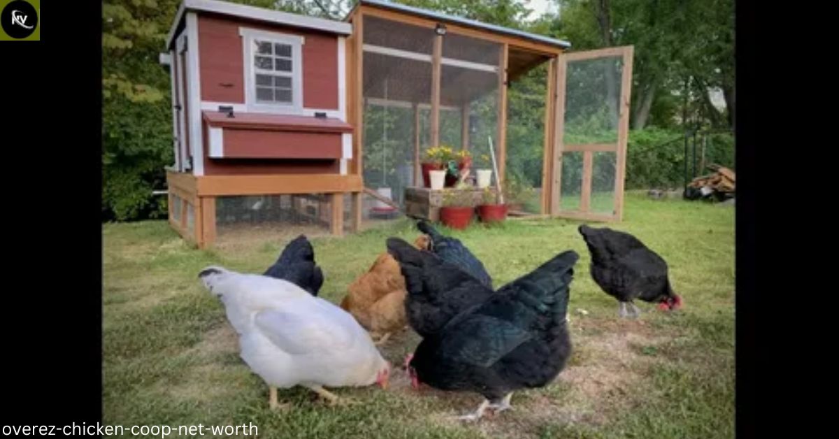 OverEZ Chicken Coop Net Worth